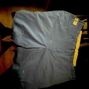 Ralph Lauren Light Blue Embroidered Men's Shorts